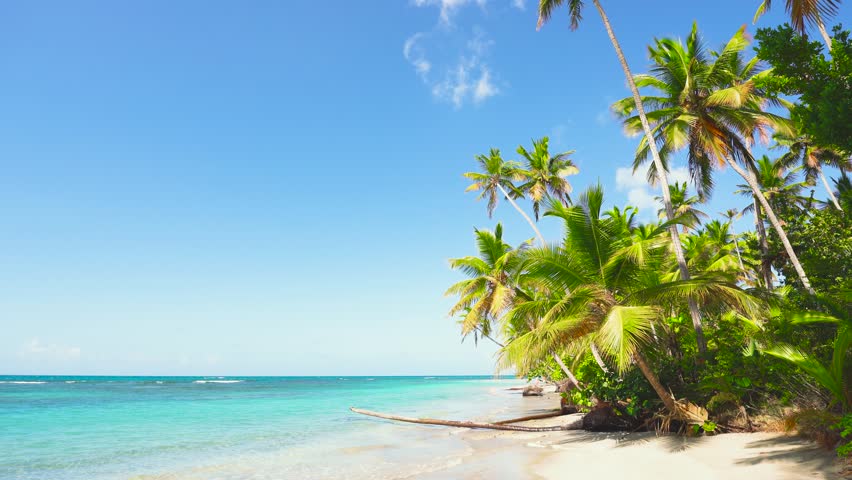 Tropical palm beach in Maldives. Landscape of summer nature of a sea island with white sand and coconut palms. Luxurious vacation travel. Exotic beach landscape. Royalty-Free Stock Footage #1099064469