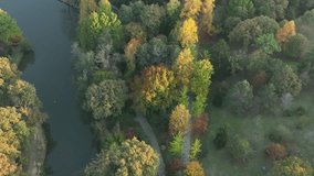 Autumn Season in the Ataturk Arboretum Drone Video, Bahcekoy Sariyer, Istanbul Turkey 