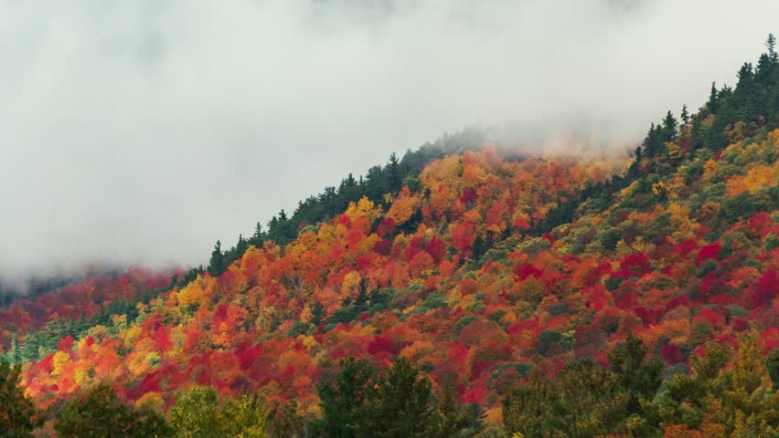 Beautiful Autumn foliage timelapsing with stunning nature colors from Adirondack upper New York State, USA