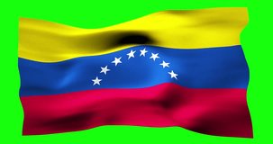 Flag of Venezuela realistic waving on green screen. Seamless loop animation with high quality