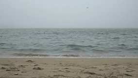 The ocean shore in heavy fog without people. The waves of the ocean move calmly.