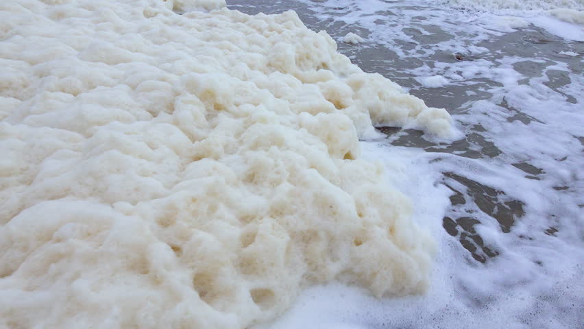 Eutrophication and pollution of the sea, waves with dirty foam roll ashore during a storm, Black Sea