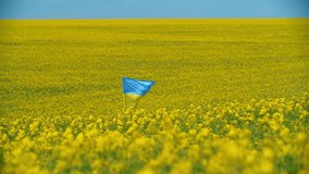 National flag of Ukraine on a blue sky and yellow field background. Ukrainian flag stands on a flagstick and flies in the wind. Slow motion. High quality FullHD footage