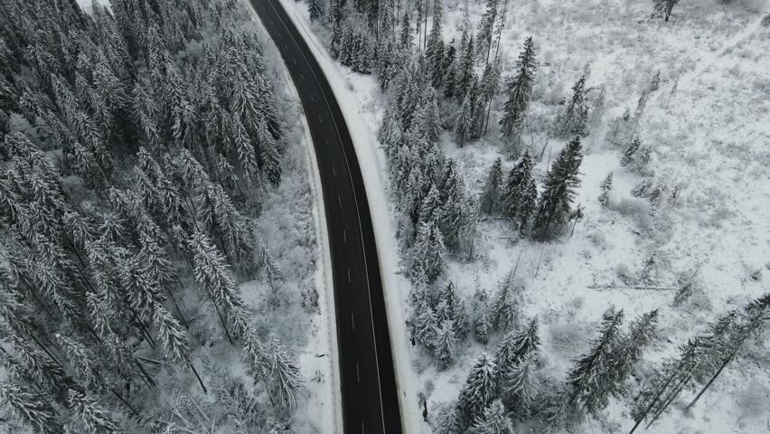 Long road straight through snowy forest in winter