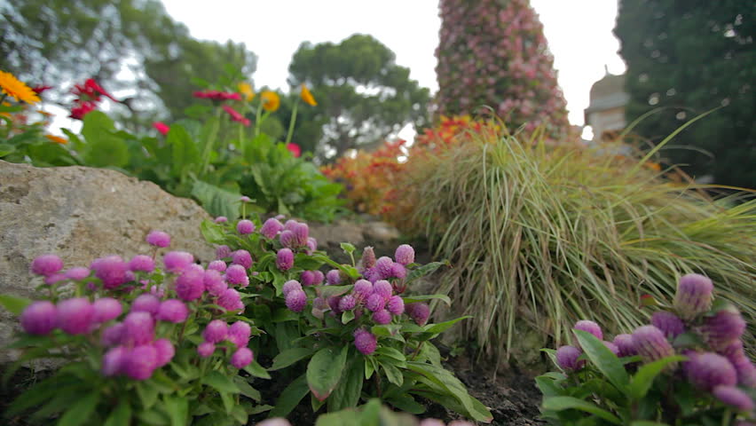 Little colorful flowers at the castle side of Monaco