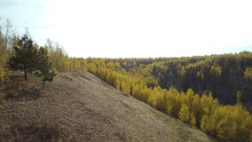 Drone video of a beautiful autumn forest in a hilly area from a bird's eye view.