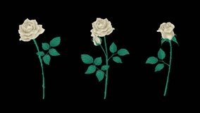 Animation of white roses separated can be composed as loop video - with alpha channel