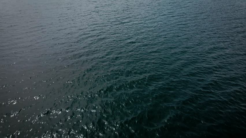 Summer water landscape from above over Shortandy lake, mountain forest in the distance, Burabay, Kazakhstan