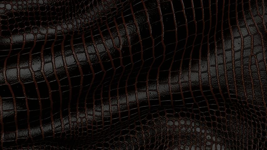 Background of crocodile leather in motion. Backdrop of the reptile skin. Royalty-Free Stock Footage #1099117797