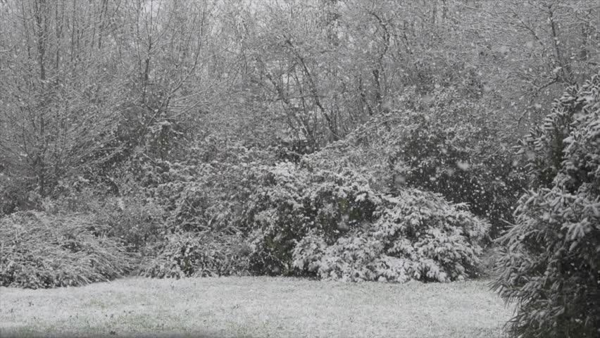 Snow falling on the garden in winter, France, Slow motion Royalty-Free Stock Footage #1099120801