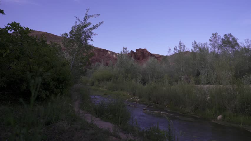 A young male hiking in nature