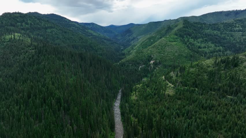 Aerial View Of Mountain River, Mountains Covered With Coniferous Trees - drone shot