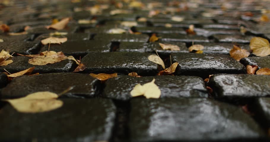 Wet dark stone brick road covered in autumn leaves close up view. High quality 4k footage