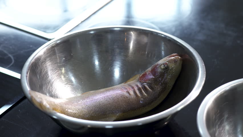  Preparation for cooking. Art. Iron dishes in which there is a dead fish that will be cooked . | Shutterstock HD Video #1099137343