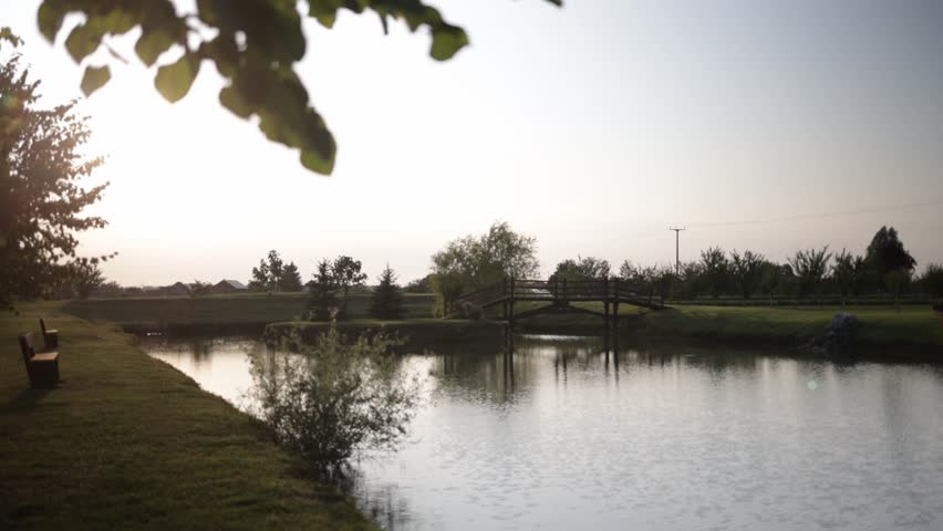 A beautiful view of a pond in a park surrounded by trees at sunrise