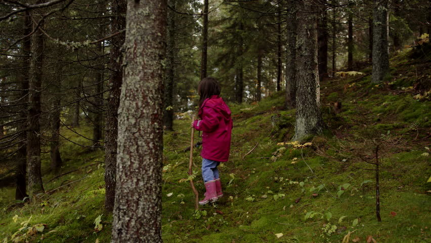 A slow motion of a small girl walking in a Norwegian forest on a rainy day during daytime