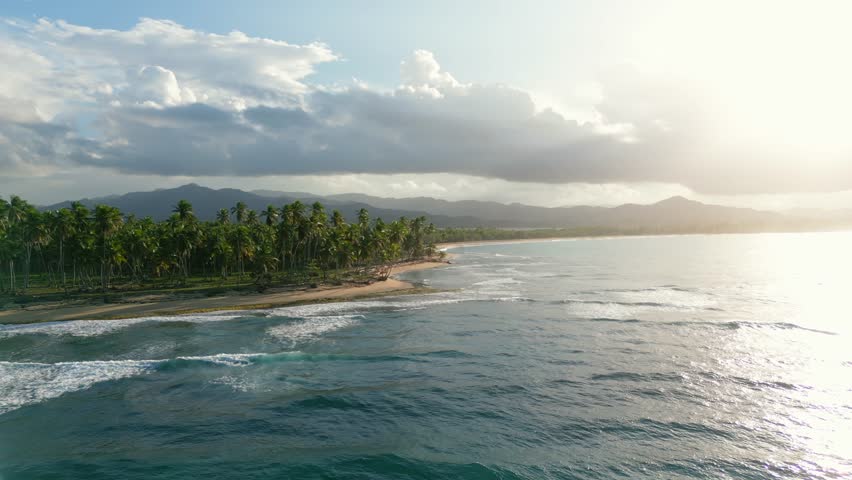 Aerial view of El Limon tropical beach with coconut palm trees at sunset. Redonda mountain in the background. Miches, Dominican Republic