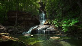 4K UHD Cinemagraph seamless video loop of a waterfall mountain river in the Blue Mountains, Australia, with lush green tropical rainforest jungle ferns and palm trees. Cascades clear water near Sydney