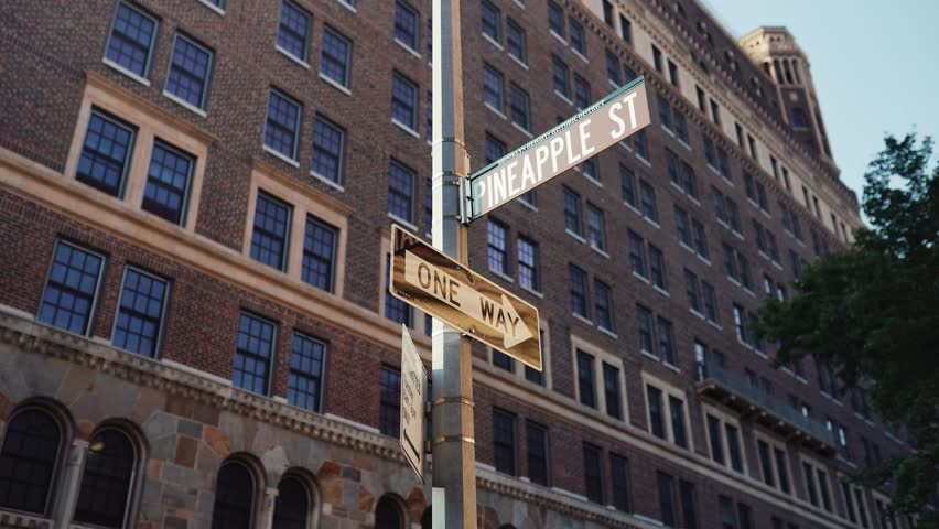 New York Signs. Pineapple street.