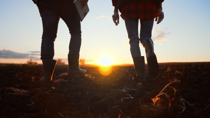Teamwork concept. Silhouette two farmers walking in a green field against sunset. Team farmers in a field. Agronomists discuss harvest. Royalty-Free Stock Footage #1099156151