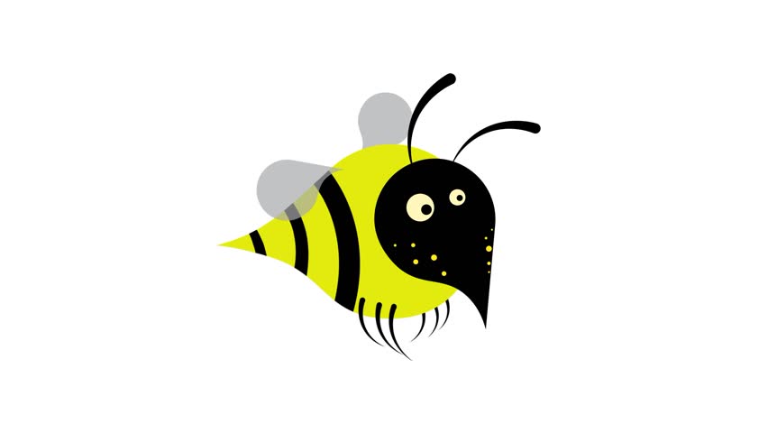 Animated cheerful striped fat bumblebee flies fast and flaps its wings. Insect predators in wild. Cartoon looped video isolated on white background