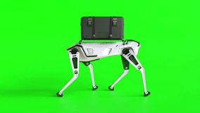 Delivery robot dog on green screen