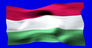 Flag of Hungary realistic waving on blue screen. Seamless loop animation with high quality