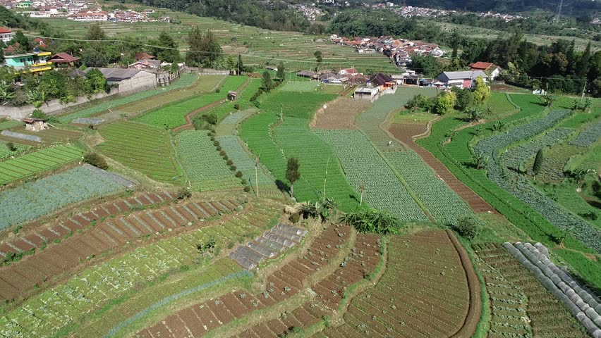 Expanse of Gardens in West Java, Indonesia