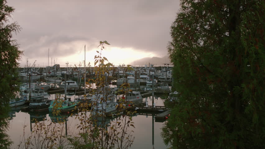 Boat Harbor of Cordova, Alaska