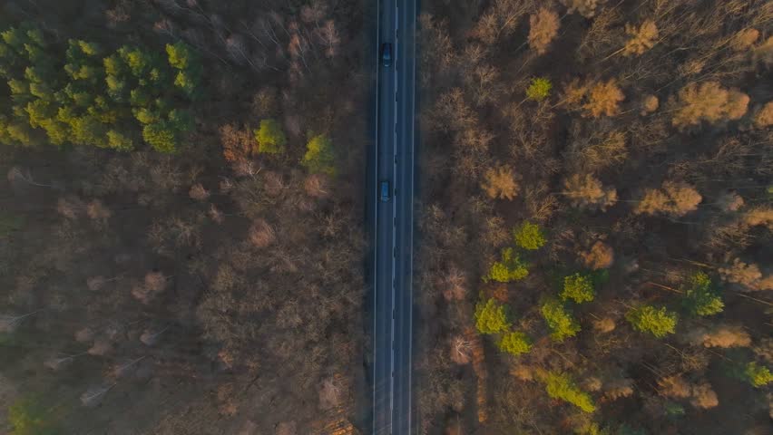 Drone view of the road running through the autumn forest. The concept of transport, forest landscape and road.