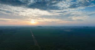 Aerial view of a sunset movie scene in deep red skies over a spectacular palm oil plantation farmland. 4K high quality video 