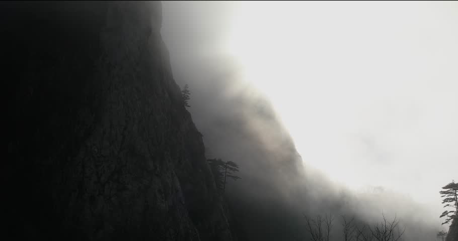 Trees on a rock in the fog. Mist on the mountainside. wild nature of montenegro. atmospheric scene. High quality 4k footage