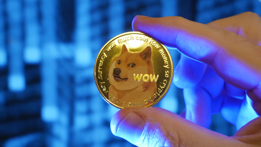 Dogecoin doge coin held in hand between fingers | Shutterstock HD Video #1099201161