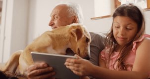 A Senior Man Getting Interrupted by the Family Dog While Watching Videos on a Digital Tablet with his Granddaughters. Funny Authentic Clip of Dog Being Playful and Excited During a Family Reunion