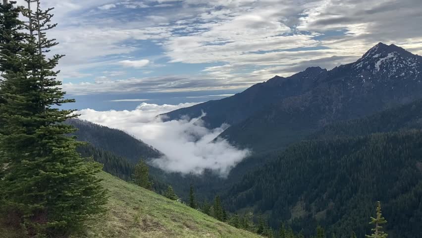 The view looking back towards the coast from the Hurricane Ridge road with mountain peaks and a cloud inversion in the background - Olympic National Park, Washington, USA