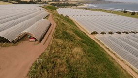Drone view of a berry farm on the seashore. with strawberry greenhouses on different levels. Very beautiful scenery in eastern Scotland.
