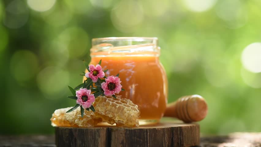 Manuka flower and honey on nature background. Royalty-Free Stock Footage #1099225011