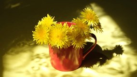 Red cup with fresh summer flower dandelions and incident sunset light from  window moves along table, shadow of  window curtains. Fresh breeze blows through the open window - Powered by Shutterstock - Get 15% off with code: PIKWIZARD15