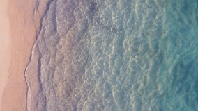 Tropical sea beach Top down aerial view drone camera high quality 4K