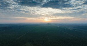 High quality video 4K Aerial view of a sunset movie scene in deep red skies over a spectacular palm oil plantation farmland.