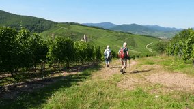 Senior man and woman walk along green vineyards, elderly tourist couple explore beautiful Alsace area, famous wine-making region at Grand-Est, north-eastern France - Powered by Shutterstock - Get 15% off with code: PIKWIZARD15