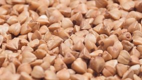 Close-up of raw buckwheat groats. Buckwheat groats. Agricultural crops