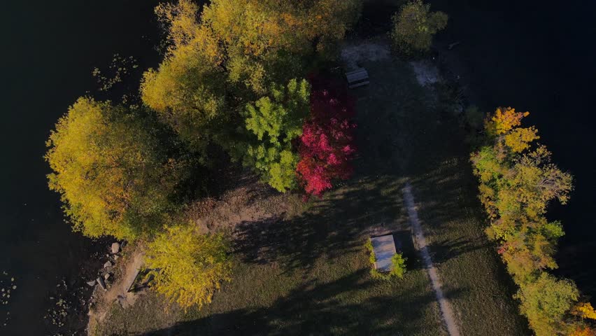 Fall Color Trees Over Lake in Michigan