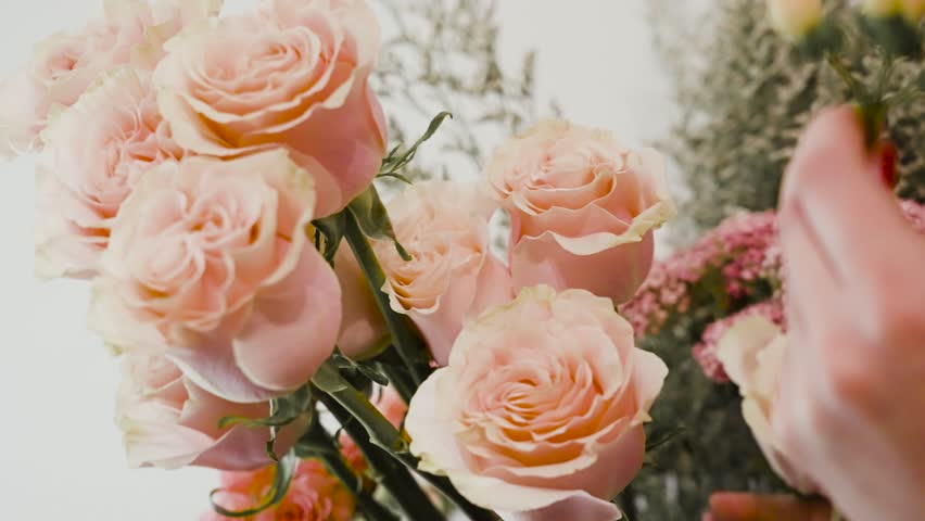 Close up shot of lovely pink roses inside a Valentine's day Bouquet.