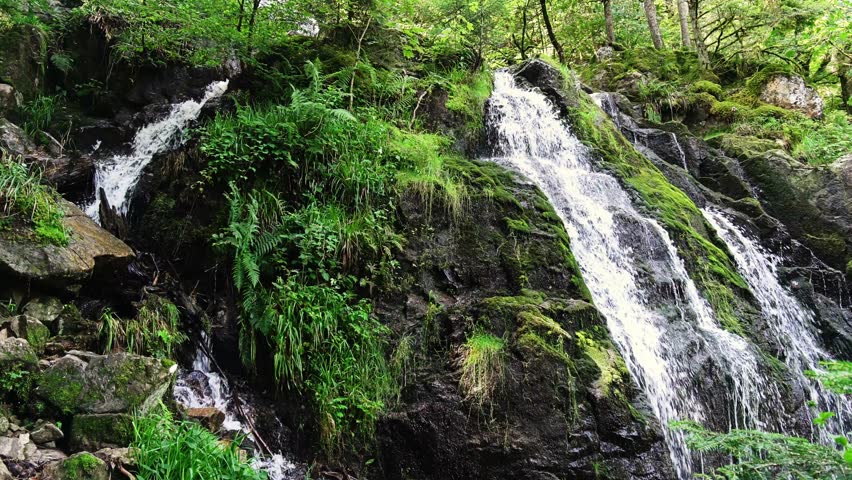 Natural Waterfall Looped content 1 | Shutterstock HD Video #1099257085