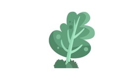 Animated video asset of trees moving in the wind. swaying plant. Animated plant backgrounds for cartoon kids
