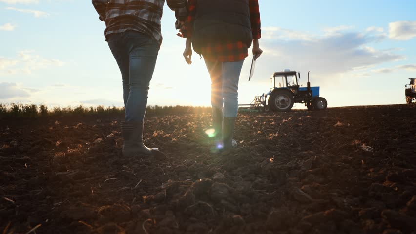 Teamwork concept. Silhouette two farmers walking in a green field against sunset. Team farmers in a field. Agronomists discuss harvest. Royalty-Free Stock Footage #1099266703