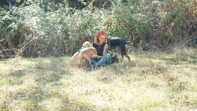 Woman caressing dogs while smiling sitting on the grass
