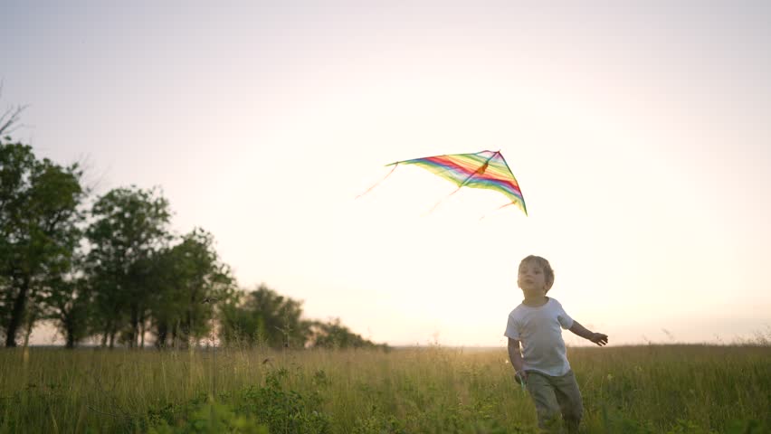 Happy kid son runs on grass.Child plays with wind toy kite. Freedom and dream of kid in summer on vacation. Boy plays with kite in park.Children's recreation picnic.Toddler son cheerfully runs through Royalty-Free Stock Footage #1099280447