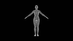 3D woman body model consisting of particles and dots rotates 3 axes 60 FPS. Science concept, object made of molecules. Tutorial Video. Abstract bg for logo, title, concept, presentation. 3D animation